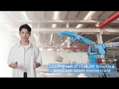 9Τ16.3Μ Κρέα πλοίου για αποτελεσματική μετακίνηση φορτίου